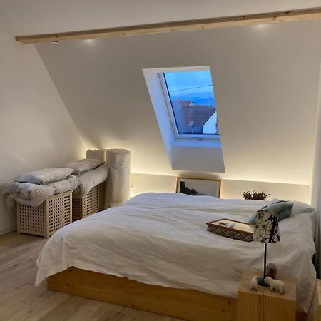 Neues Penthouse-Loft Mit Konuskarte Fuer Gratis Oepnv Apartment Ehrenkirchen Exterior foto
