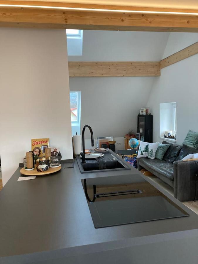Neues Penthouse-Loft Mit Konuskarte Fuer Gratis Oepnv Apartment Ehrenkirchen Exterior foto